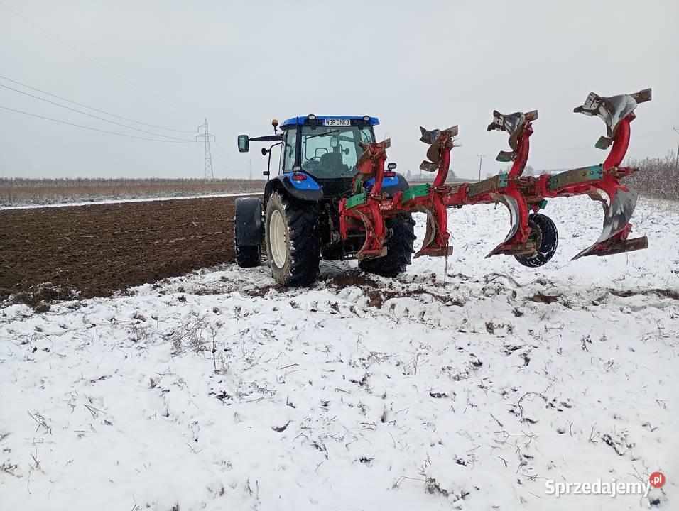 Oranie uprawa uslugi rolnicze przysucha Przytyk Rusinów sprzedam