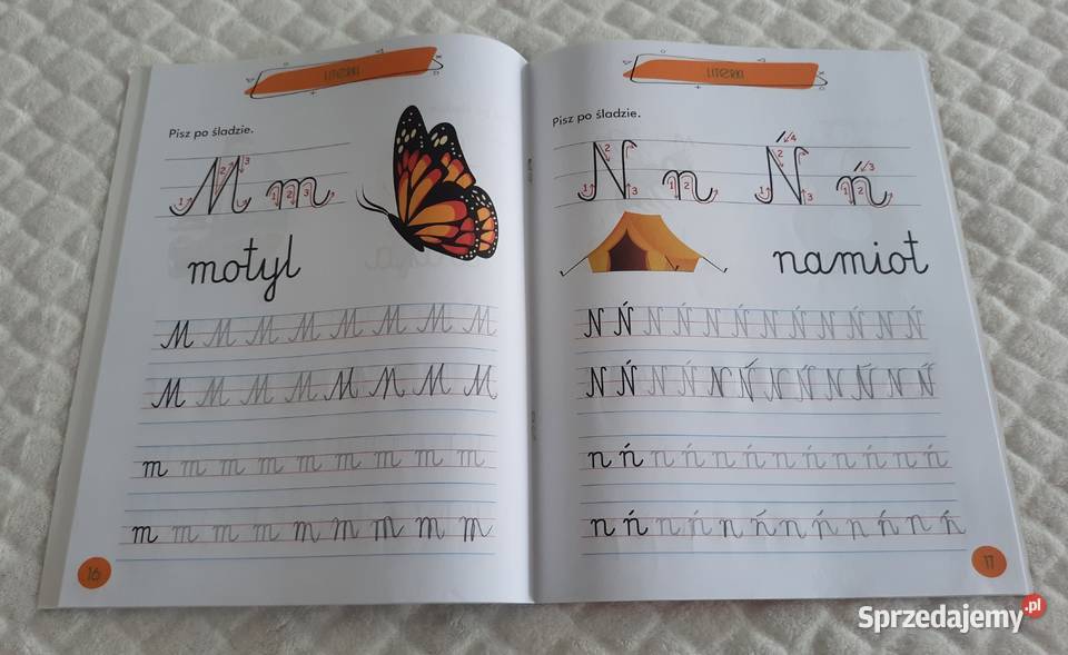 Nauka pisania krok kroku Literki Dragon 2022 śląskie Czeladź