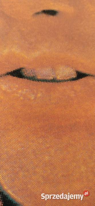 Plakat Jim Morrison Pozostałe Jawor sprzedam