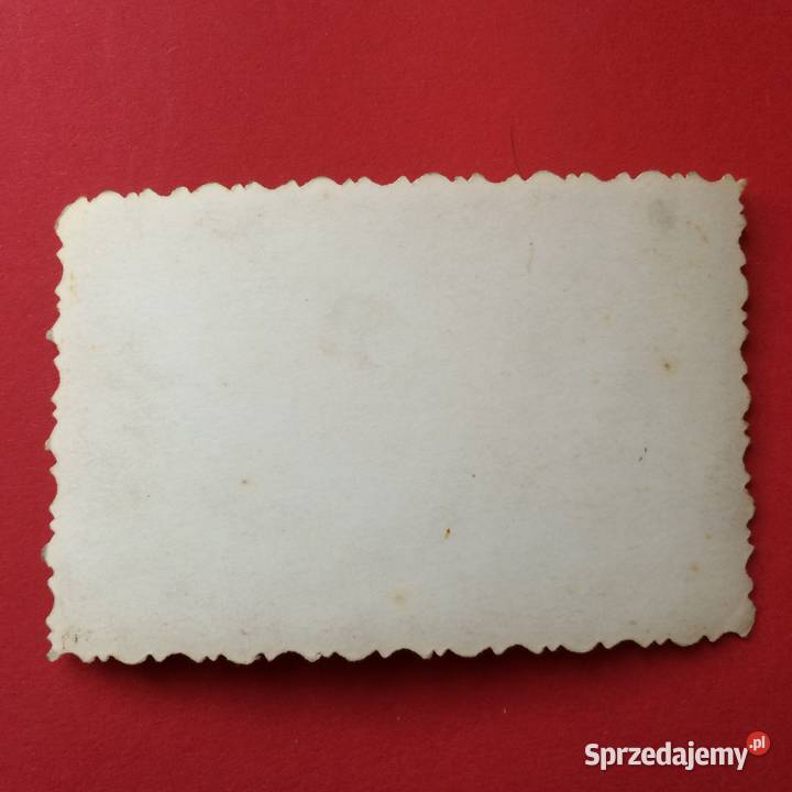 1384 Zdjęcie Szczecin