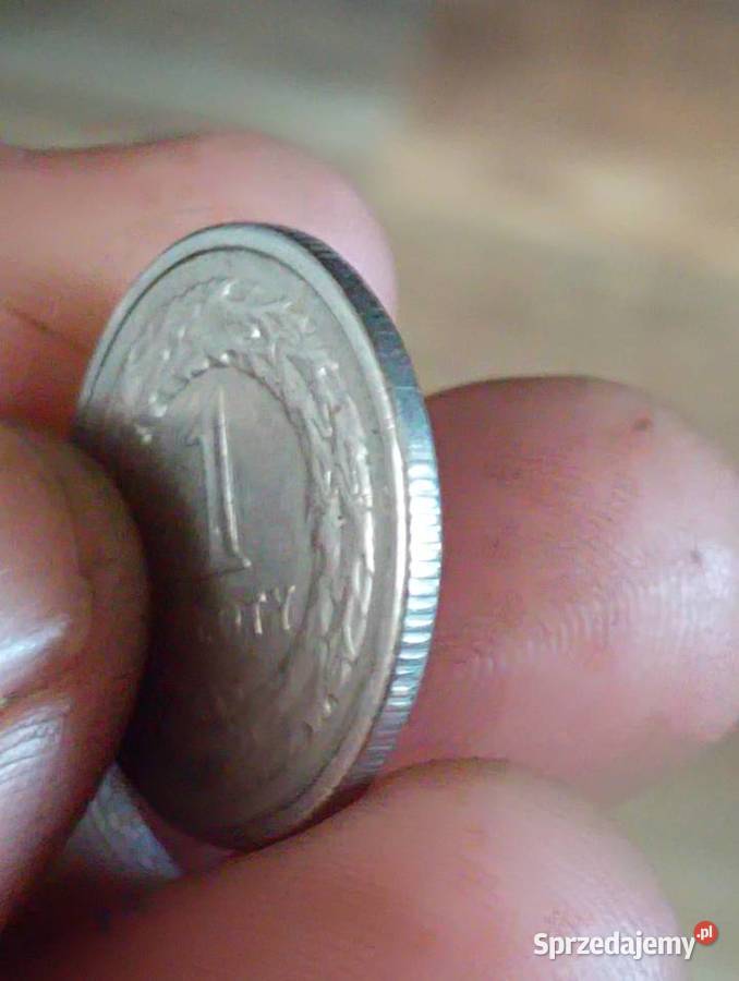 Sprzedam nastepna monete 1 zl 1991 r Numizmatyka lubelskie Chełm