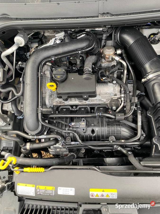 SEAT Ibiza V 10 TSi 95 HG005 Opole sprzedam