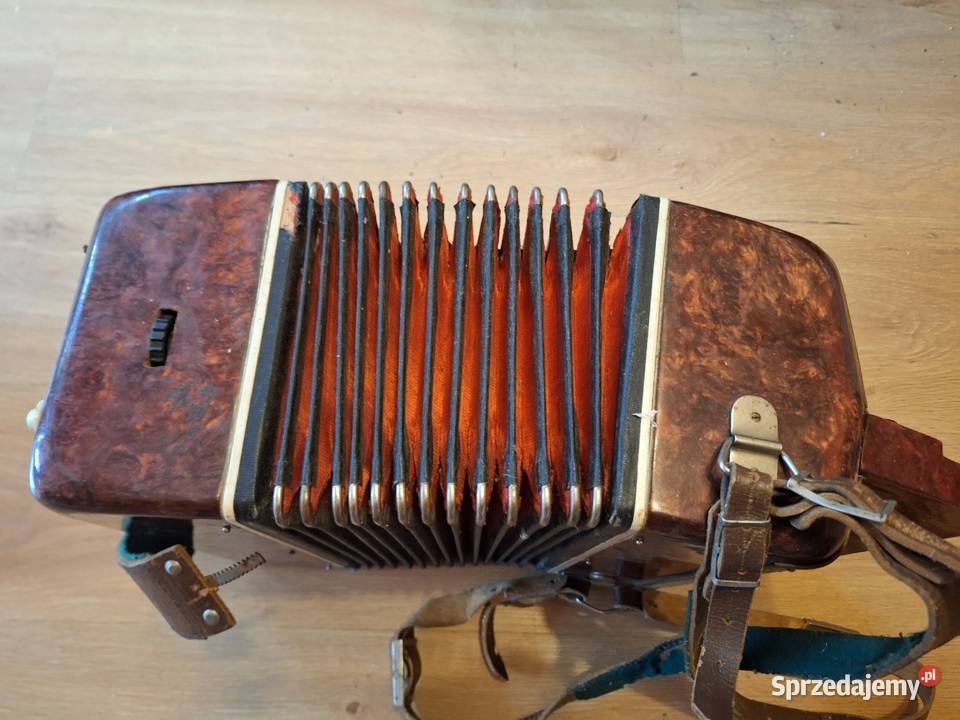 Akordeon Harmonia guzikowa