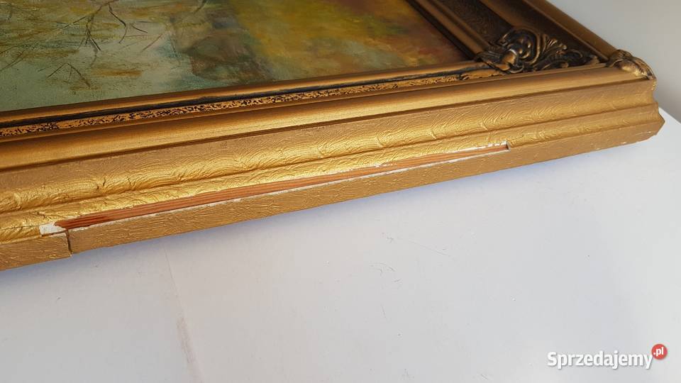 Obraz olejny na płótnie w pięknej ramie syg Dąbrowa Górnicza