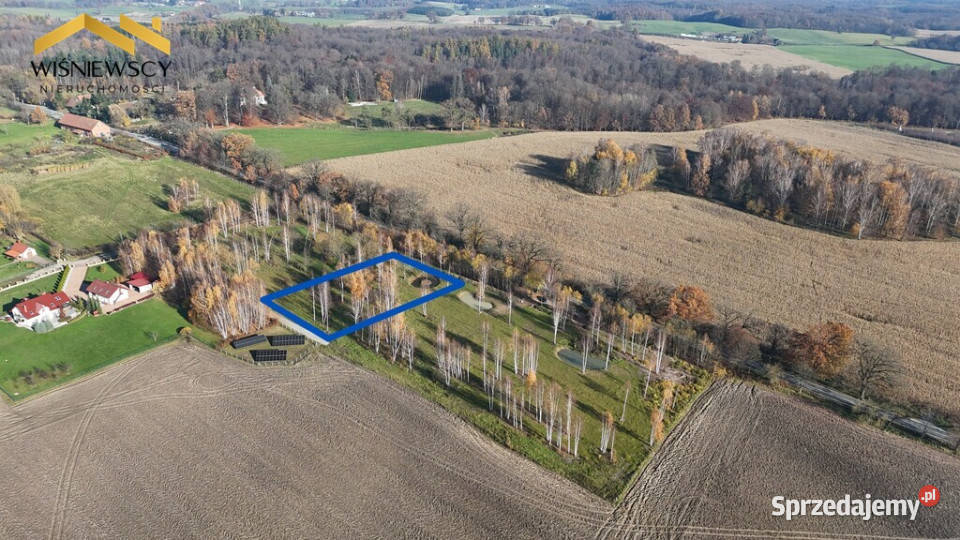 Dawidy działka z WZ 3001 m Grunty i działki