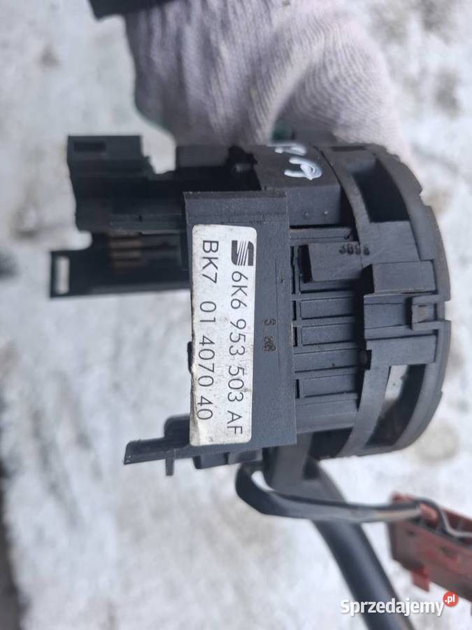 IBIZA PAJĄK Wisznice