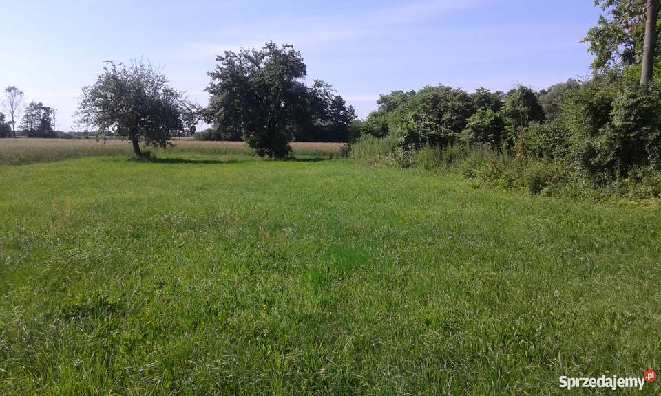 Sprzedam działkę Nieruchomości Lipniki Stare