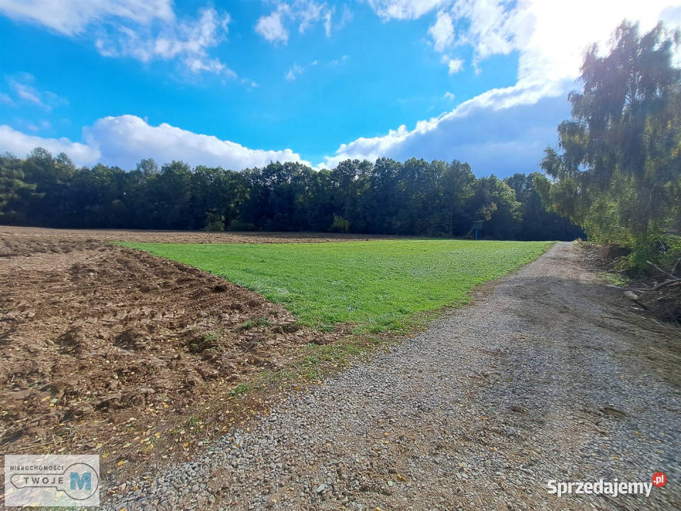 Grunt Łagów 8879m2