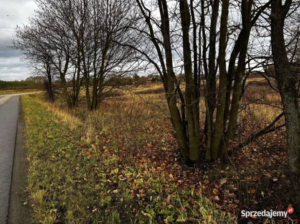 Na sprzedaż działka 1600 m z warunkami zabudowy Warszówka