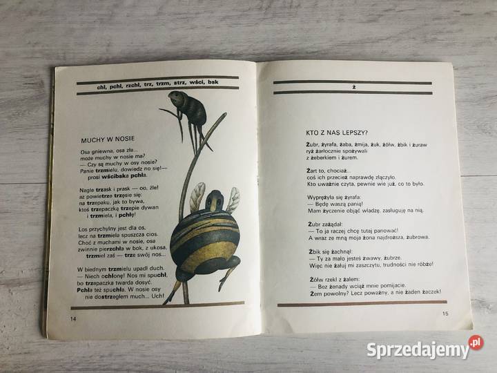 Książka Chrząszcz w trzcinie Hanna Łochocka Łódź