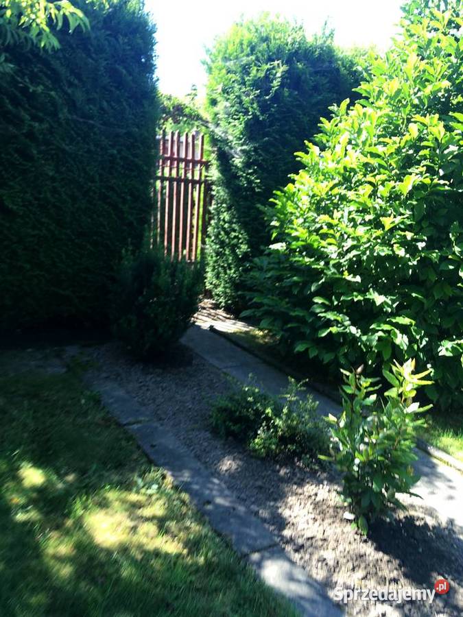 Działka rekreacyjna ROD witaminka Oświęcim małopolskie Zaborze