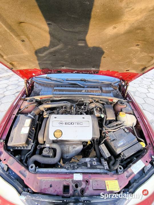 Opel Vectra B 1999 101 Pionki