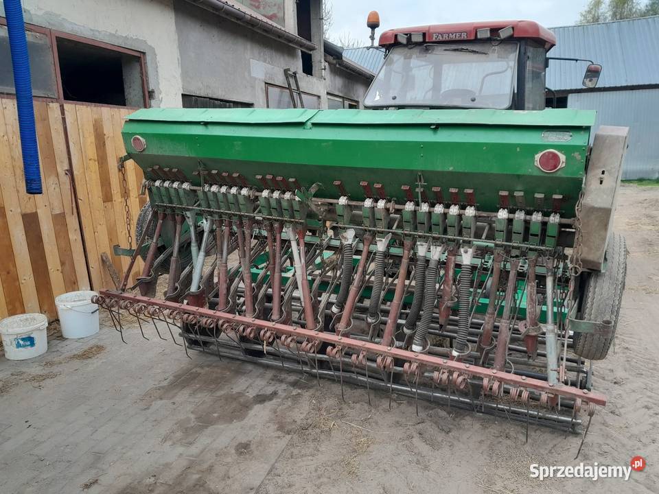 Siewnik poznaniak Serock