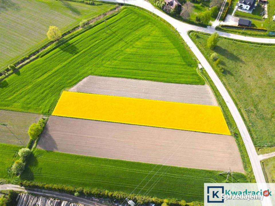 Działka Srogów Górny 2790m2 budowlana podkarpackie