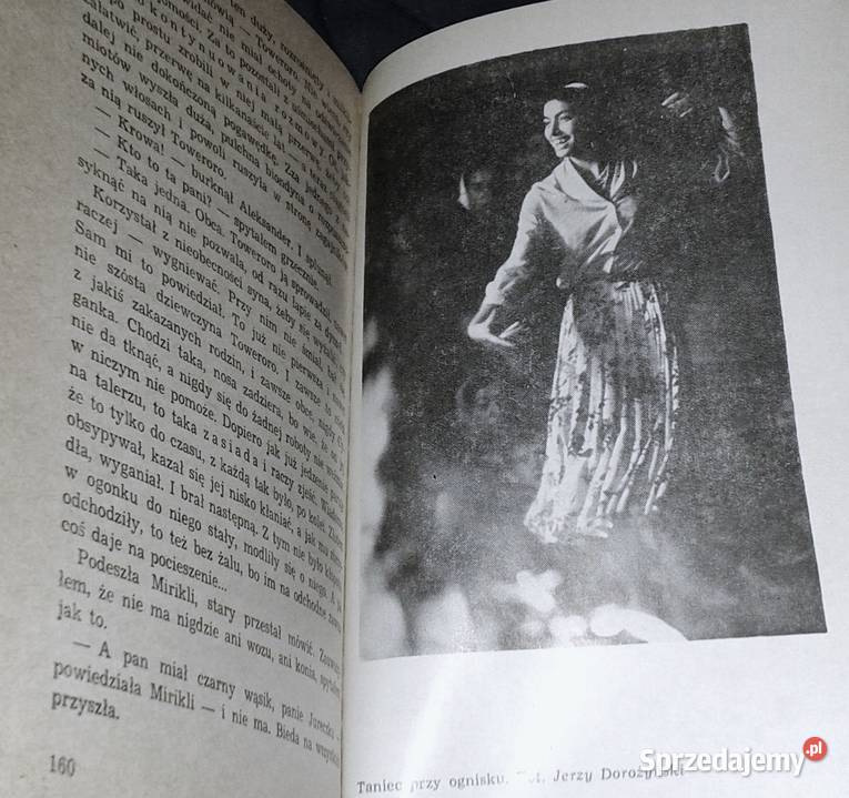 Demony cudzego strachu Jerzy Ficowski miękka Chełm sprzedam