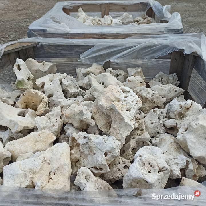 Kamień do akwarium do ogrodu Wapień Filipiński Żwir i kamienie Katowice