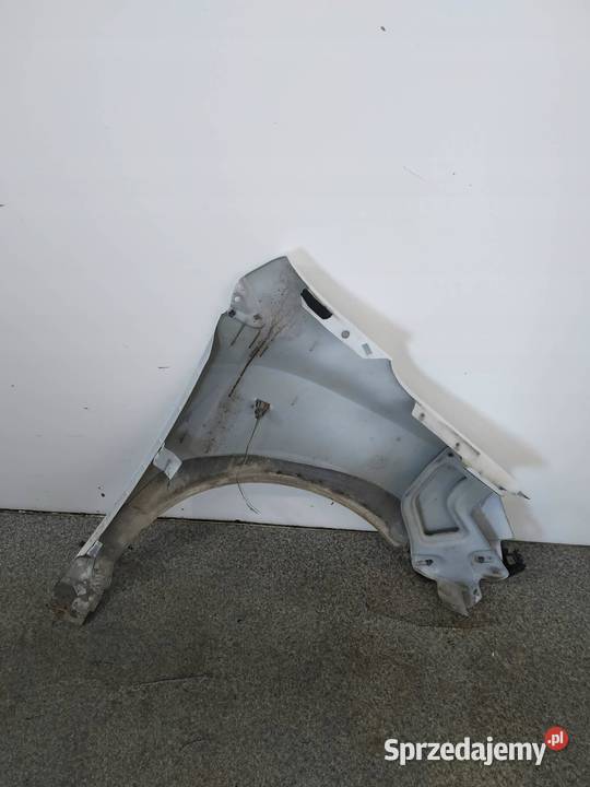 BŁOTNIK LEWY PRZÓD D389 Dacia Dokker I 2012 Błotniki Błotniki