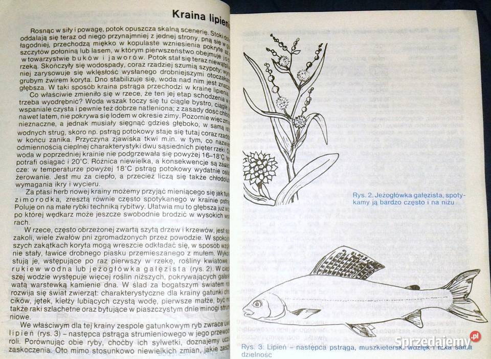 Wędkarstwo rzeczne Wacław Strzelecki Rok wydania 1987 Chełm sprzedam