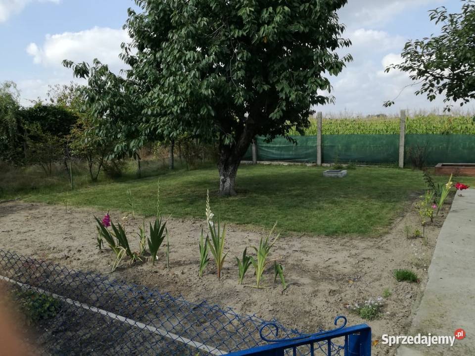 RAWICZ Ogródek działkowy Działka ogrodowa 300m2