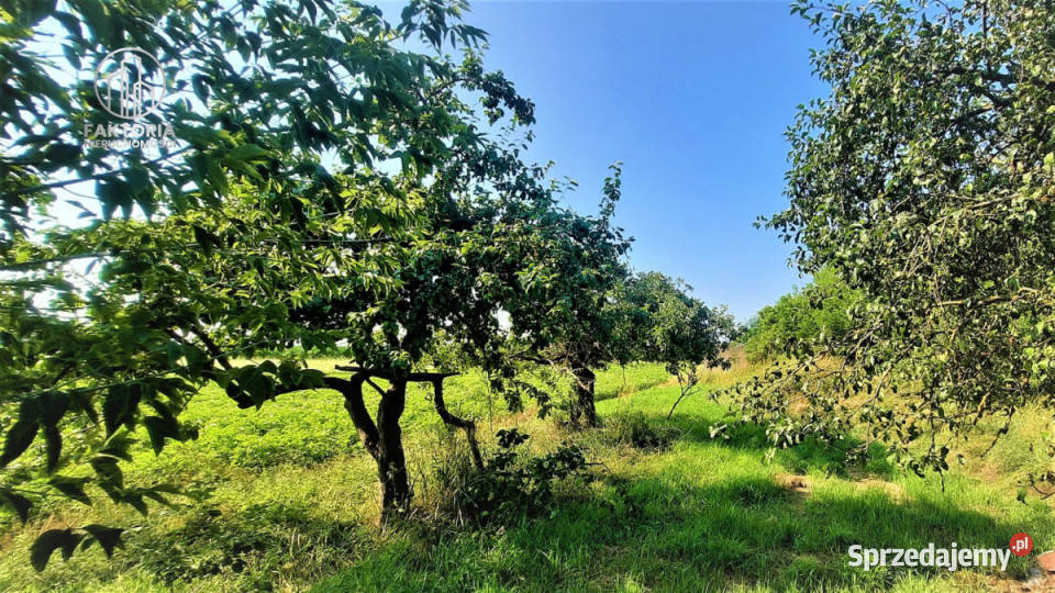 sprzedaży działki Boguszewo 4300m