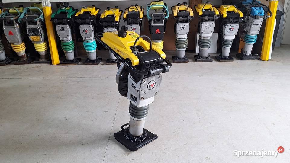 Skoczek Stopa WACKER NEUSON BS 502 Plus 11in Trzebnica sprzedam