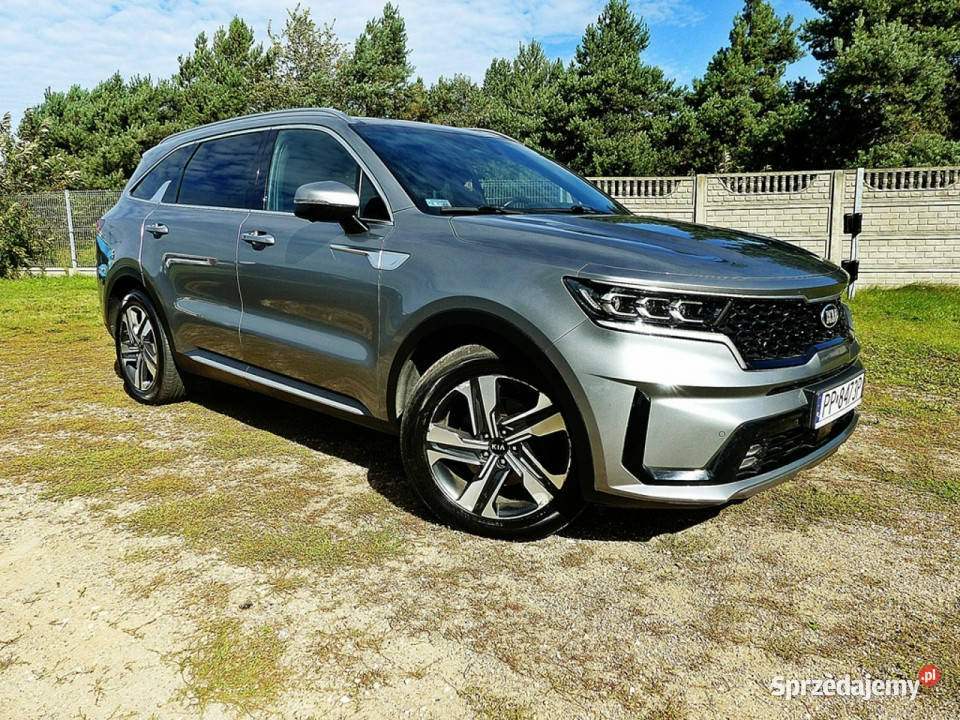 Kia Sorento 16 TGDI HEV ABS Piła