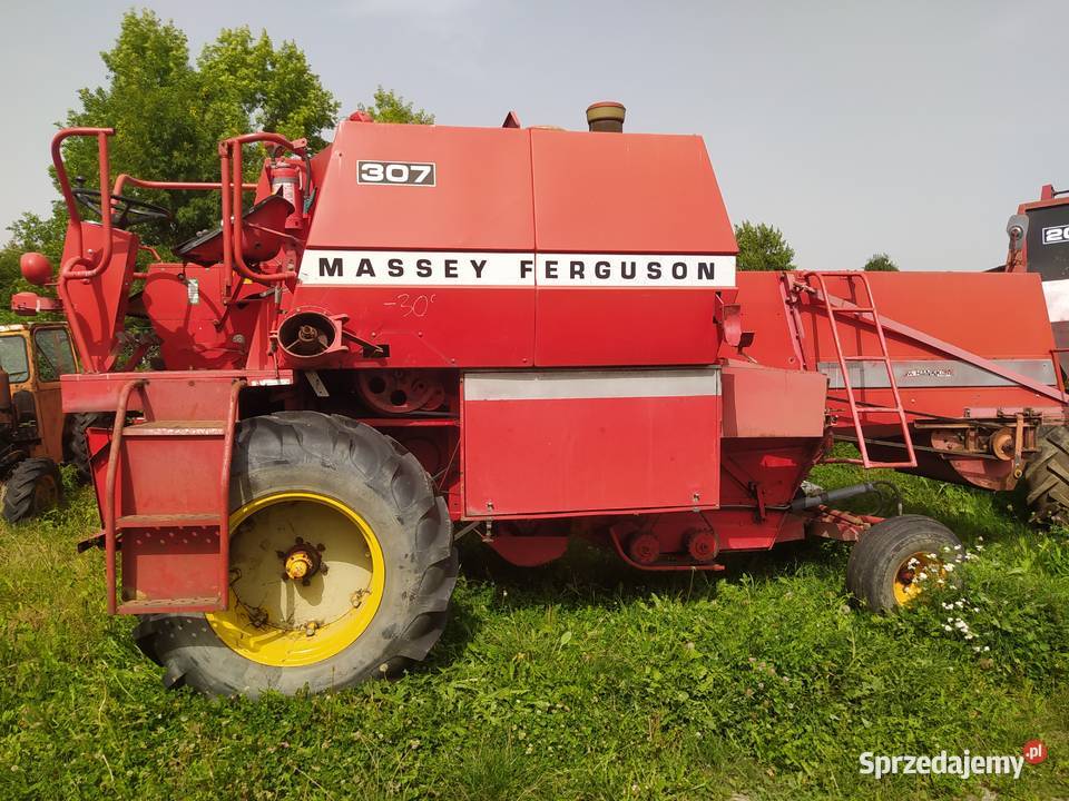 Massey Ferguson 307 z sieczkarnia nieuszkodzony Kombajny Dragany