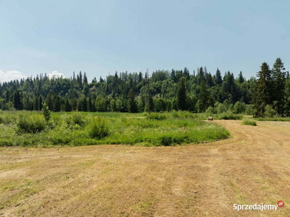 Działka budowlana Jurgów 762m2 Sprzedaż Sprzedaż