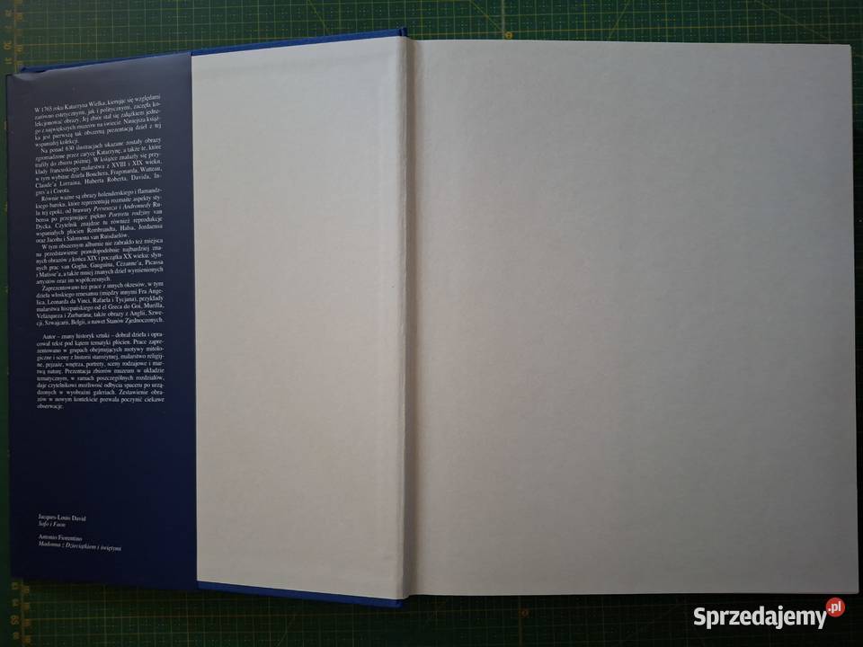 Arcydzieła malarstwa Ermitaż Colin Eisler Arkady Kraków sprzedam