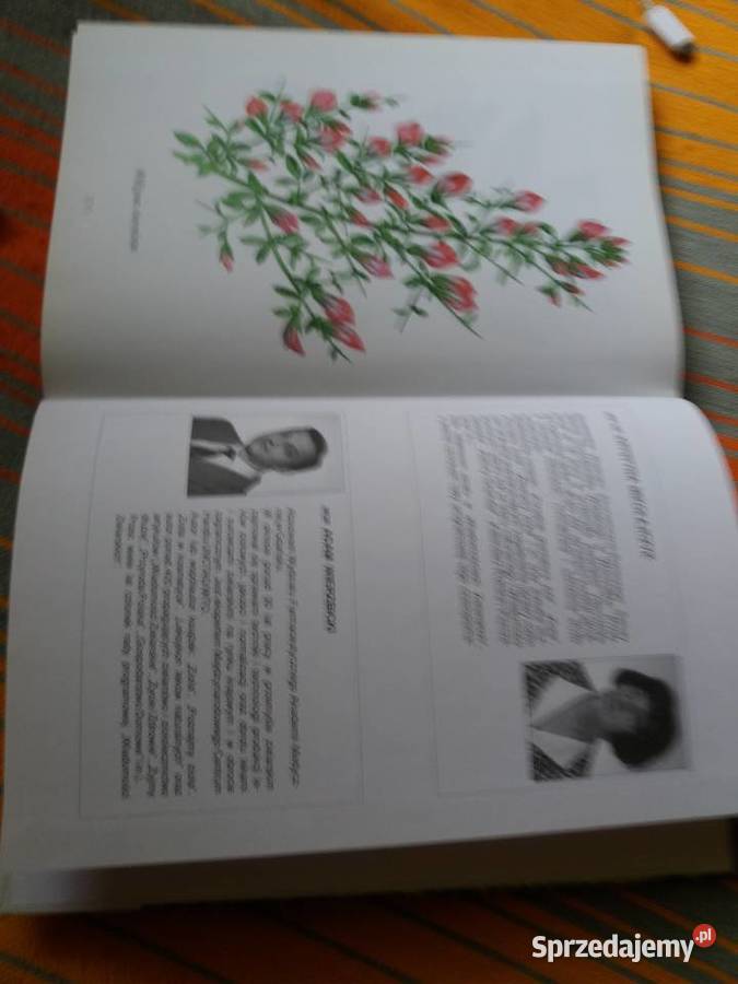 Ziołą źródłem zdrowialeksykon Poradniki, albumy i reportaże świętokrzyskie