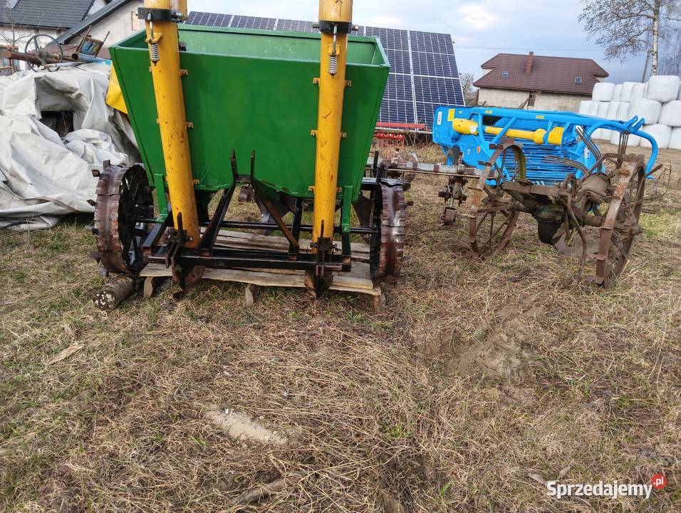 Sadzarka do ziemniaków nieuszkodzony Grajewo