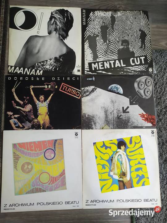 Płyty winylowe Zielona Góra sprzedam