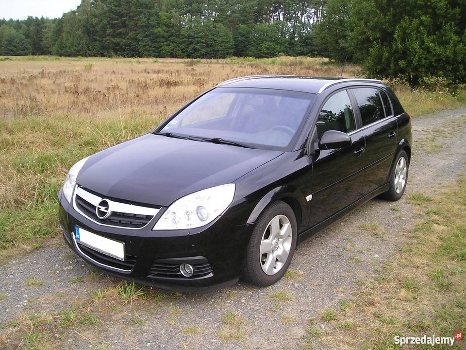 Opel signum 1