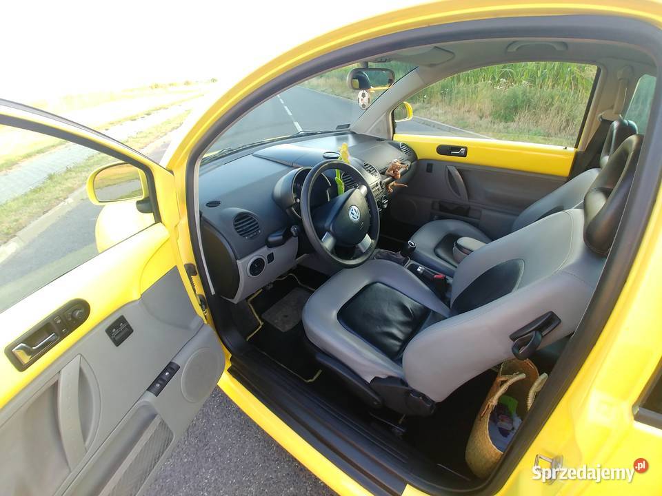 BEETLE kujawsko-pomorskie Toruń sprzedam