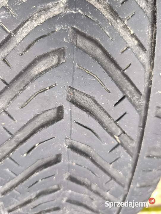 Opony całoroczne 2155516 sprzedam