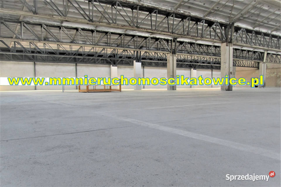 Powierzchnie magazynowe 200 2000 m2 do wynajęcia Będzin