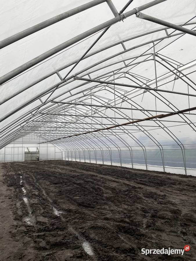 szklarnia podlaskie Białystok sprzedam