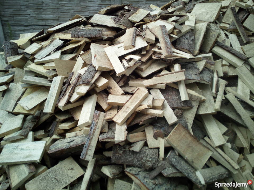 Obladra sosnowa gruba Bobrowo-Kolonia