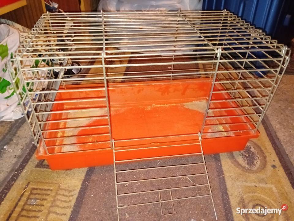 Klatka Świnki morskiej TANIO