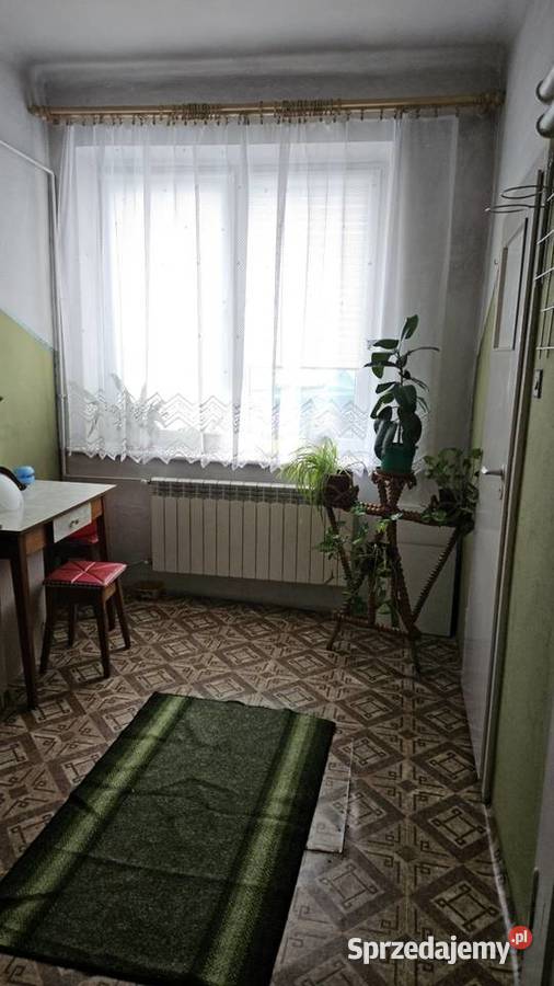 Mieszkanie Konewka Spały i Tomaszowa
