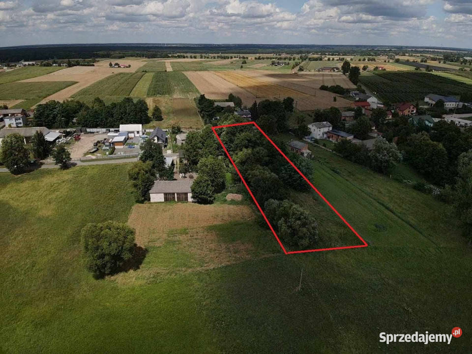 sprzedaży działki Dąbrowa Widawska 2500m2