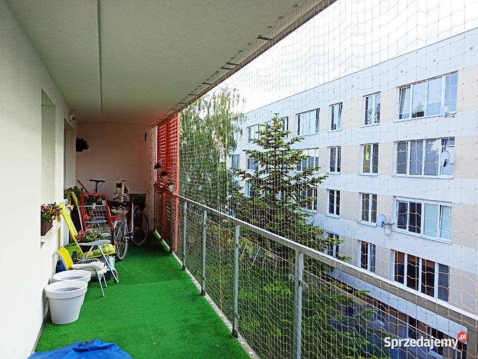 montaż siatki kotów ptaków siatka Bydgoszcz
