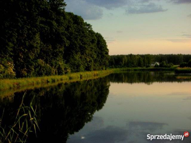 Sprzedam stawy hodowlane Gwoździce