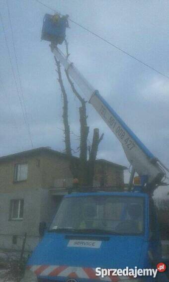 Wycinka drzew metoda tradycyjną