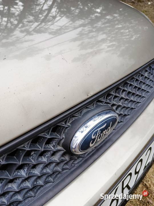 Ford Fusion 16 benzyna Golęczewo
