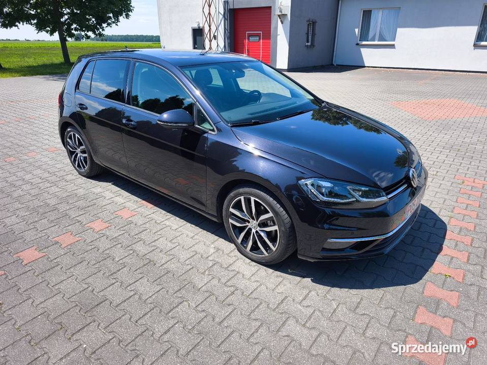 Golf VII 16 TDI DSG FUll LED wielkopolskie