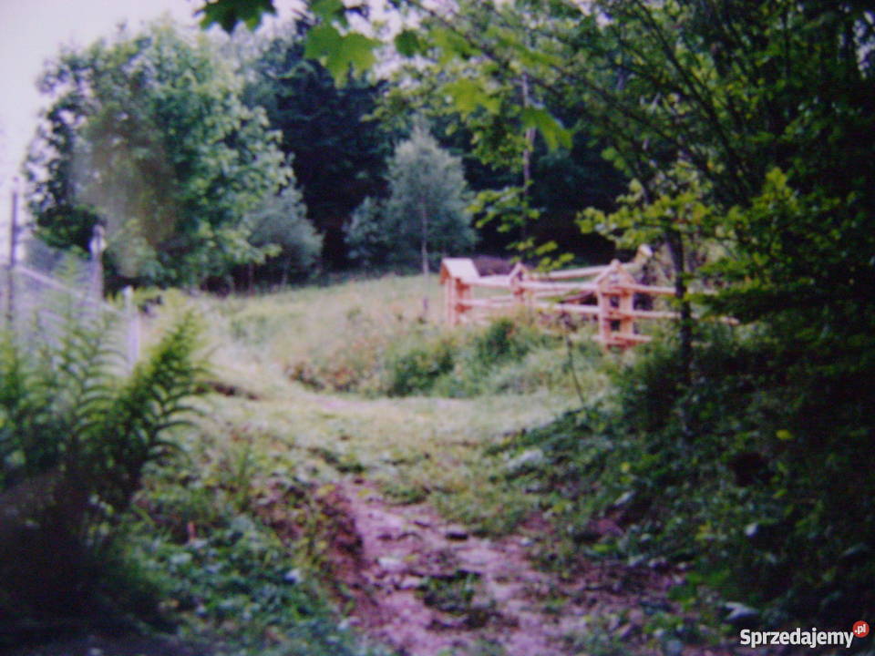 Zawoja Wełcza działka budowlana 1567m2