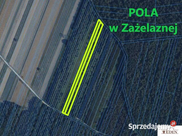 sprzedaży działki Domanice 2971m2