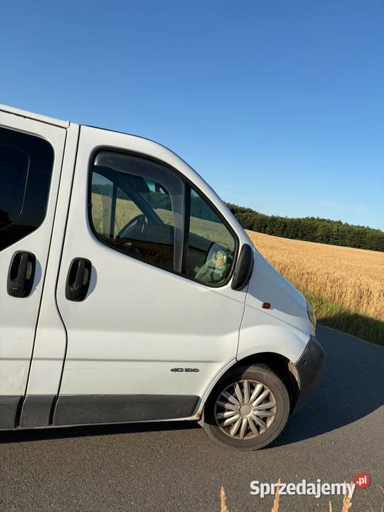 Renault traffic Gniezno