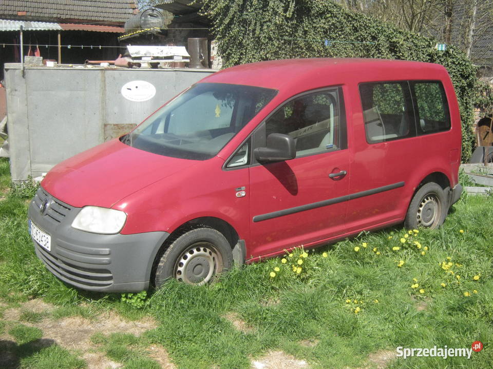 Volkswagen Caddy lubuskie Iłowa